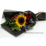 lying-sun-flower-020409-493-b lying-sun-flower-020409-493-b