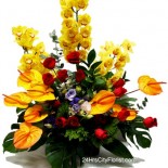 CYIM-anthurium-cymbidium CYIM-anthurium-cymbidium