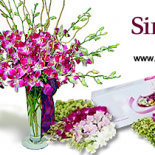 singapore-orchids-main Singapore orchids for sale