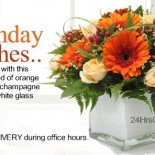 orange-gerbera-promo order flowers