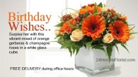 orange-gerbera-promo order flowers