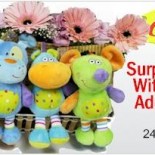 animal-doll animal doll