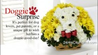flower-doggie flower delivery