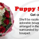 puppy bouquet