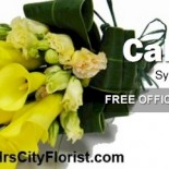 calla lily