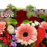 senbd flowers gifts