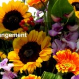flower shop delivery