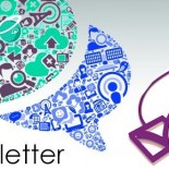 newsletter-subsribe