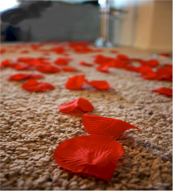 trail of petals