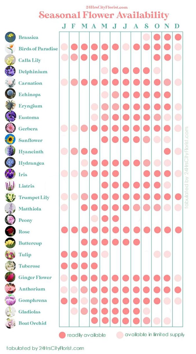 seasonalflowerschart