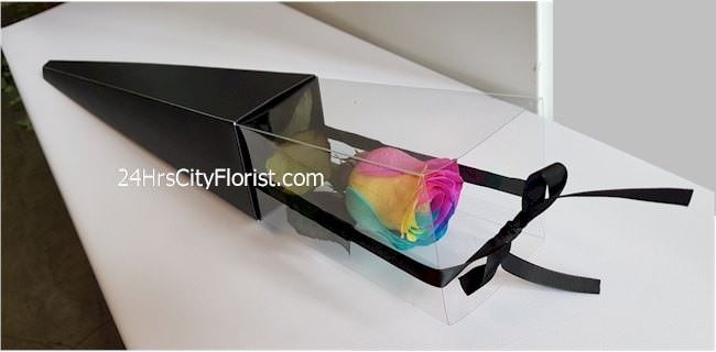 rainbow rose in box