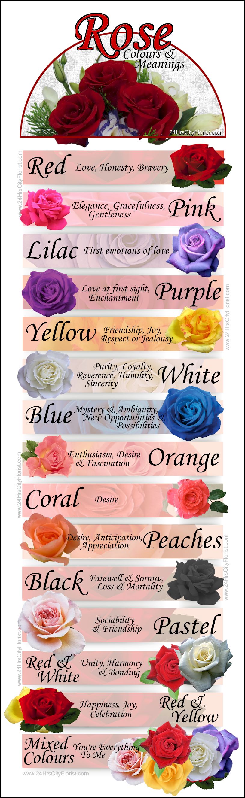 Rose Colour Chart