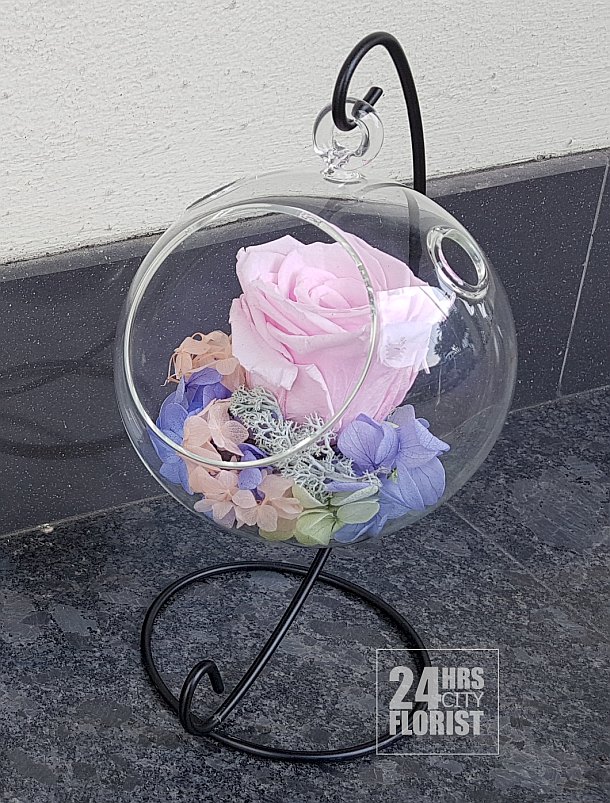 preserved rose in hanging glass vase