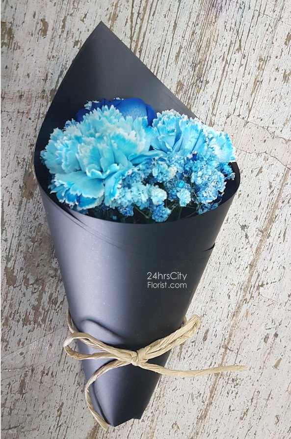 Blue Carnations