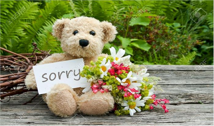 send teddy to say sorry