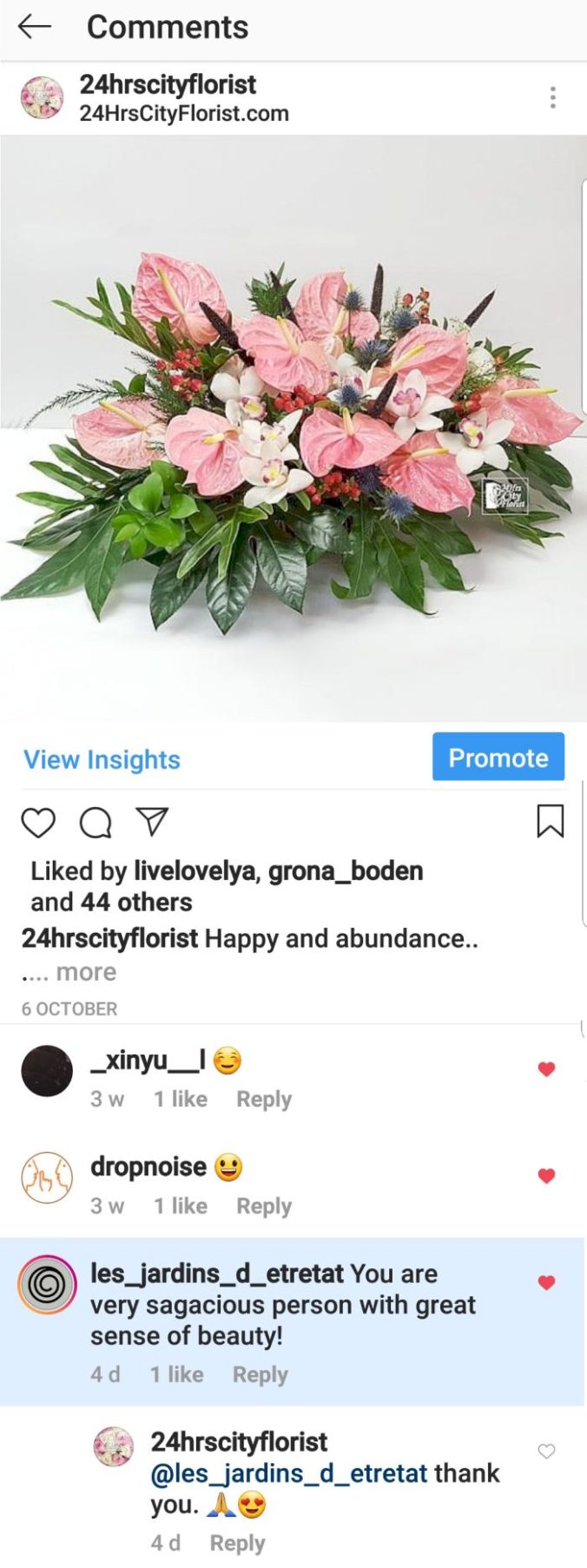 lesjardins 24HRS CITY FLORIST
