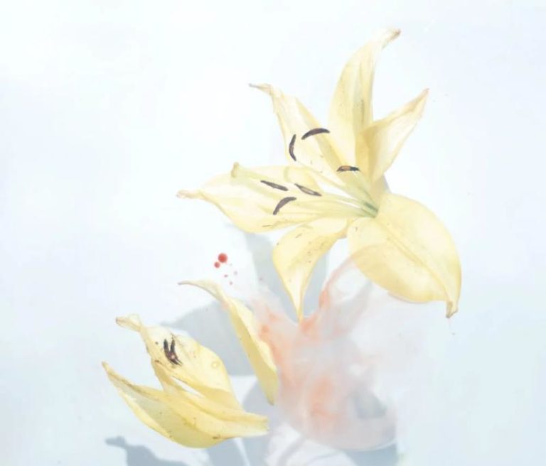 How To Keep Lilies Fresh