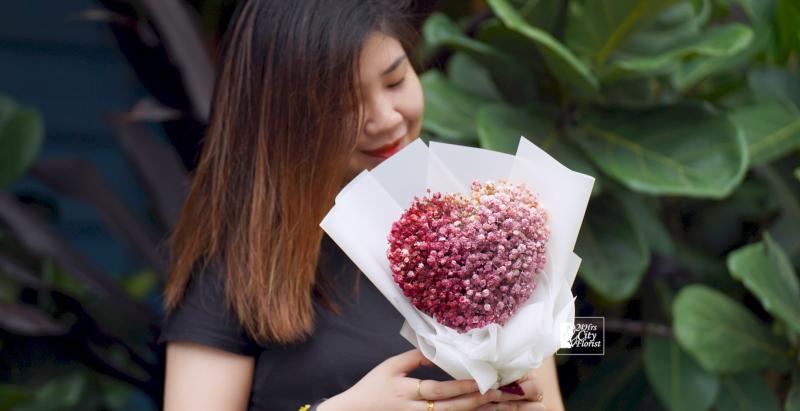 All You Need to Know about Baby's Breath Flowers