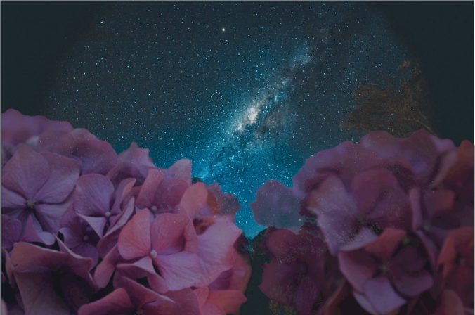Flowers and Astrology