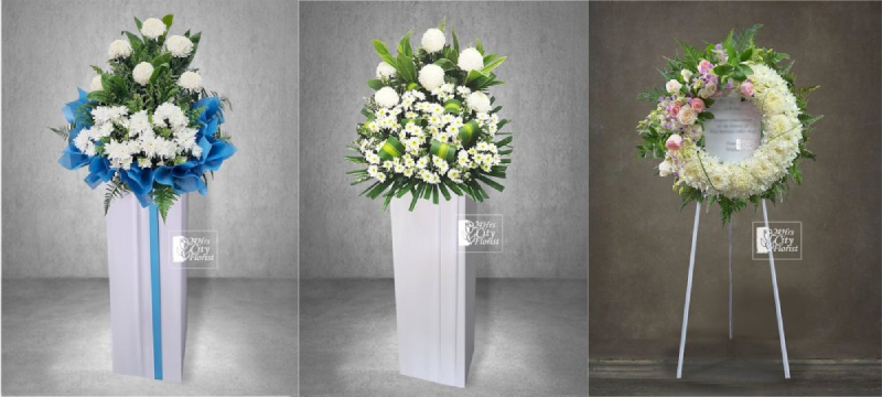 Chrysanthemums in the Singapore context