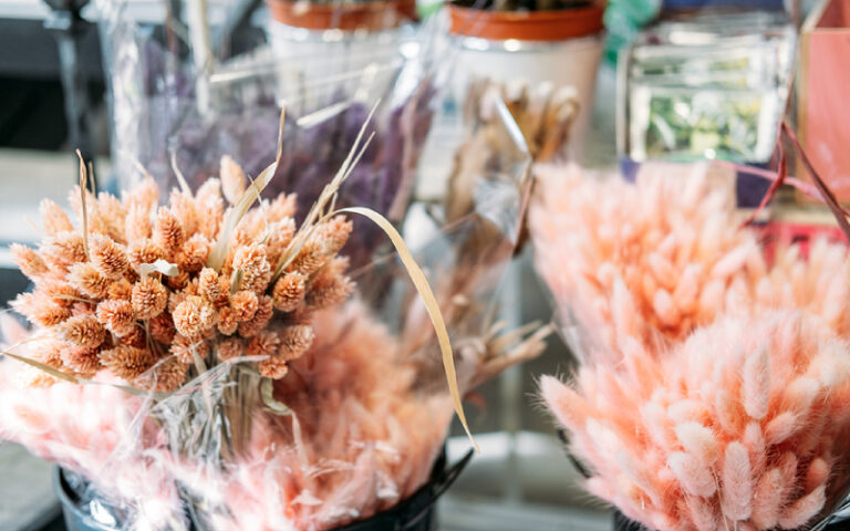 Dried And Preserved Flowers: An Overview Of Its History