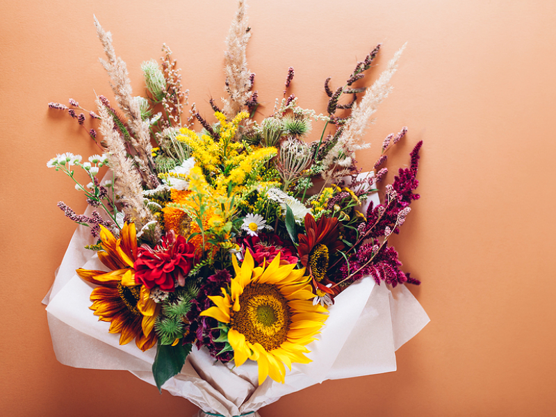 4 Types Of Flowers That Flourish In Singapore's Climate