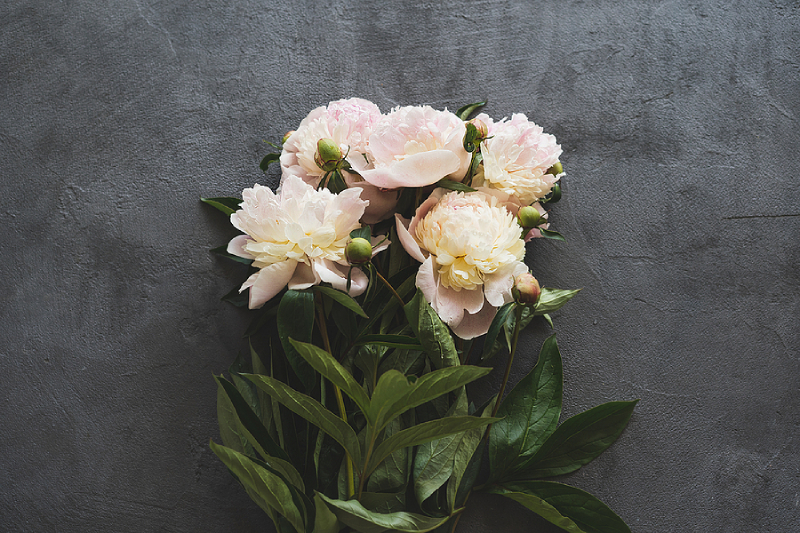 Choosing Hypoallergenic Flowers For Your Allergic Loved Ones