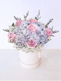 Hydrangea Flower Box Hydrangea Flower Box