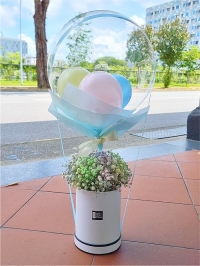 Baby's Breath Flower Box.. Baby's Breath Flower Box..
