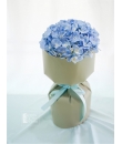 Hydrangea Bloom - Flower Bouquet Singapore