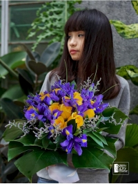 Iris Devotion Iris Devotion