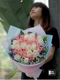 Pastel Rose Affections Pastel Rose Affections