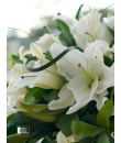 lily in vase arrangement