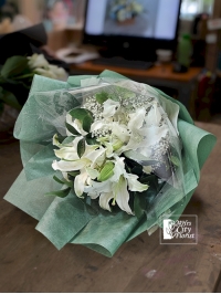 Lily Beautiful Lily Beautiful
