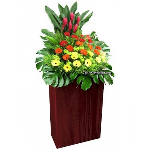 Opening flower stand Send this opening flower stand to congratulate