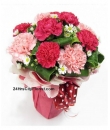 mothers day carnations