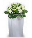 Lily Remembrance -  White lily, orchid -  Flower for Condolence Singapore 