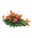 bird of paradise table flower