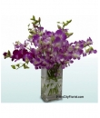 Orchids in vase