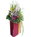 Plentitude - Opening Flower Stand - 24Hrs City Florist