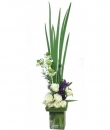Refreshing Elegance
