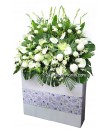 Glorified -  Mathiola, hydrangea, chrysanthemum, orchid -  Funeral Flowers 