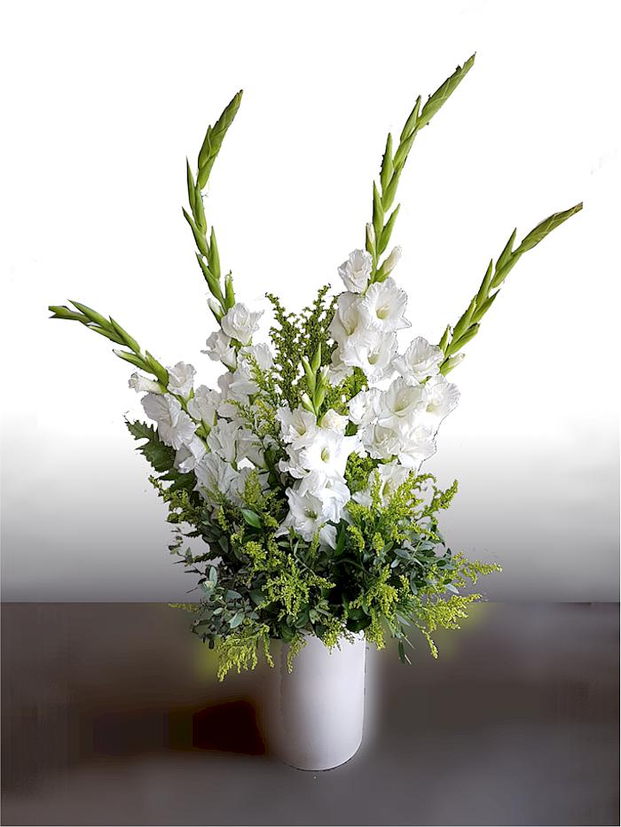 Gladiola
