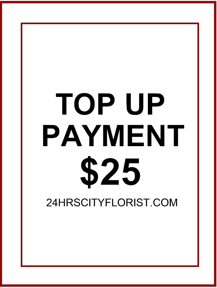 Top Up Payment $25