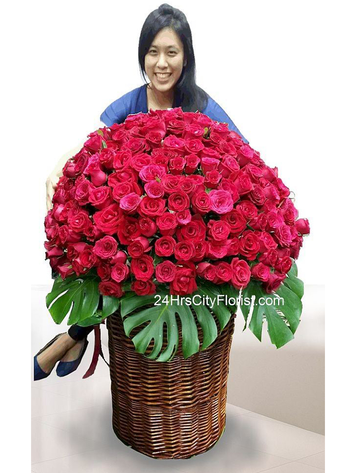 250 stalks red rose basket