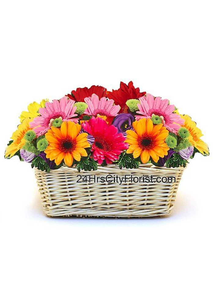 Gerbera Surprises - Flower Basket - 24Hrs City Florist