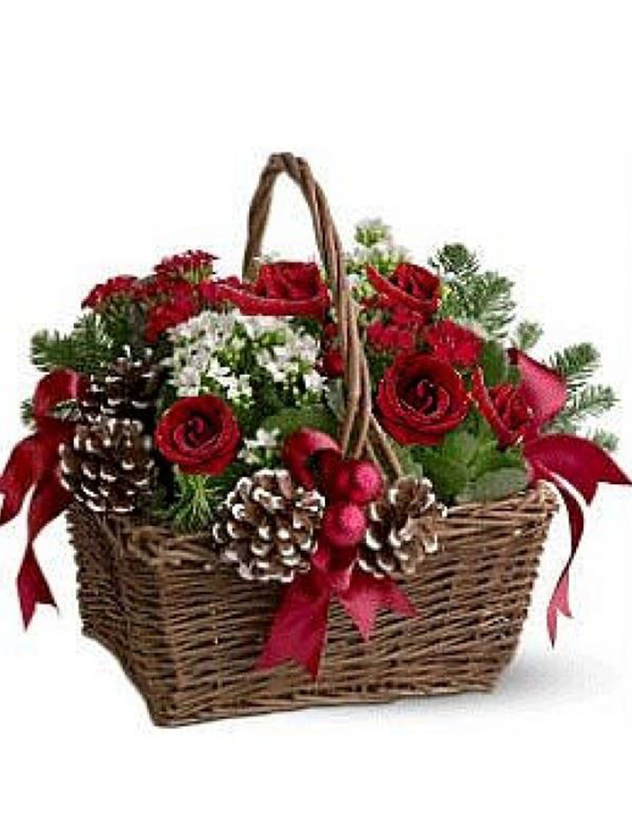 Seasonal Scarlet..