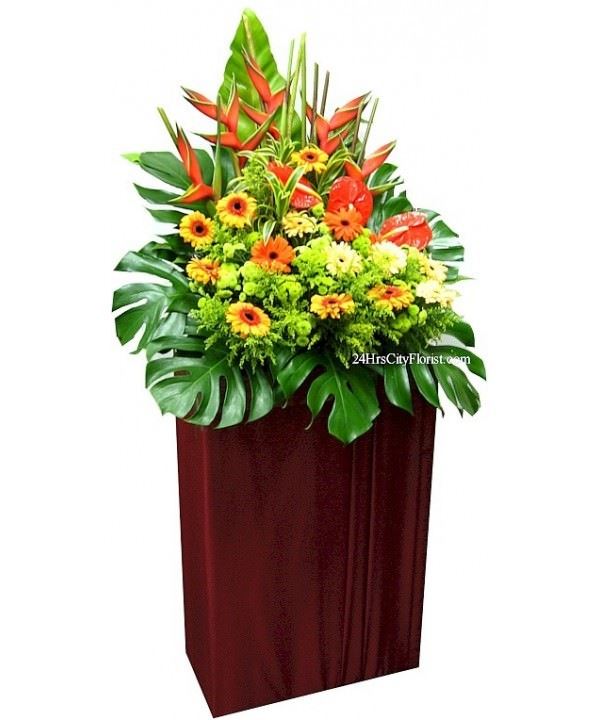 Cheering - Fresh floral stand with box stand. 