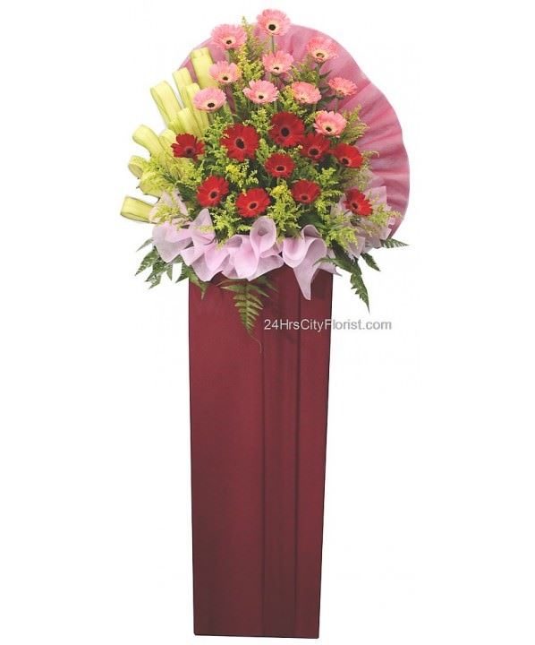 A1 Congratulations - Opening Flower Stand - Same Day Delivery in Singapore
