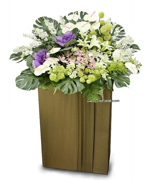 Bring solace -  Exotic Flowers, cymbidium, brassica, anthurium, fruiticosa, mathiola, lily Condolence Flowers Singapore 